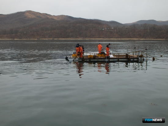 Конкурс на рыбоводные участки Конкурс на рыбоводные участки