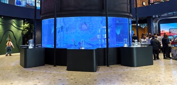 В Национальном центре «Россия» во Владивостоке есть круглый аквариум — он остался в «наследство» от знаменитого океанариума