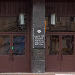 Доли квот хотят пустить на электронные торги