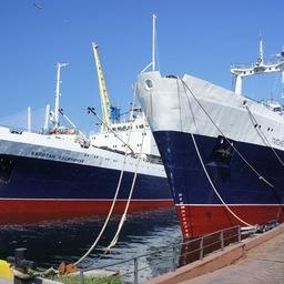 «Русская рыбопромышленная компания» продолжит инвестиции в обновление флота. Фото предоставлено пресс-службой РРПК