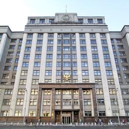 Госдума поддержала перенос по электронной ветсертификации