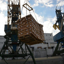 Решение приморского Россельхознадзора удивило бизнес