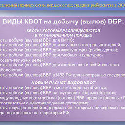Судостроение могут простимулировать через «квоты господдержки»