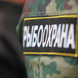 Правительство одобрило вооружение рыбоохраны