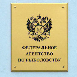 Рыбацкое сообщество готово к конструктивной работе с новым главой отрасли