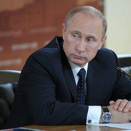 Президент Владимир Путин провел совещание о социально-экономическом развитии Архангельской области. Фото пресс-службы Президента РФ.