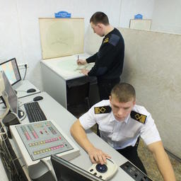 Профессиональные стандарты нового времени