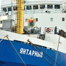 Судно-рекордсмен по выловам пелагических пород в составе карельского рыбопромыслового флота – траулер «Янтарный» типа «Моонзунд». На его рубке нанесен двухметровый герб Республики Карелия