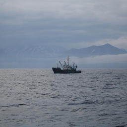 Итоги недели – в обзоре Fishnews