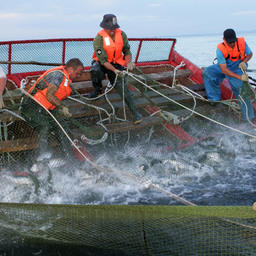 Итоги недели – в обзоре Fishnews