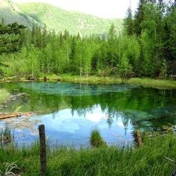 Лесное озеро. Фото из открытых источников